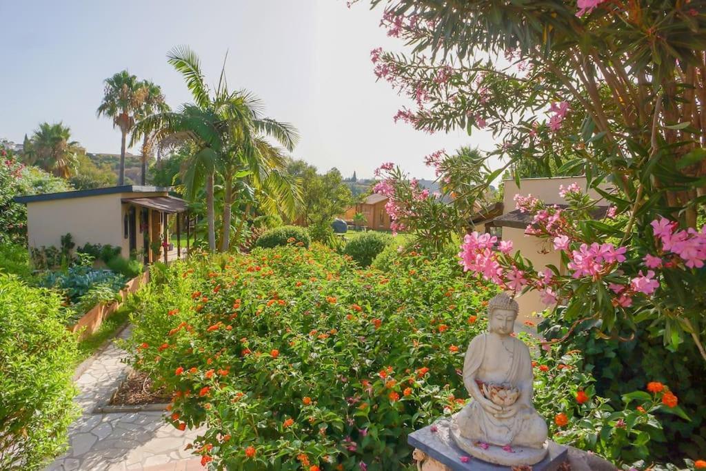 Finca Tierra Sana エステポナ エクステリア 写真