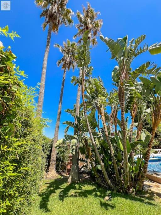 Finca Tierra Sana エステポナ エクステリア 写真