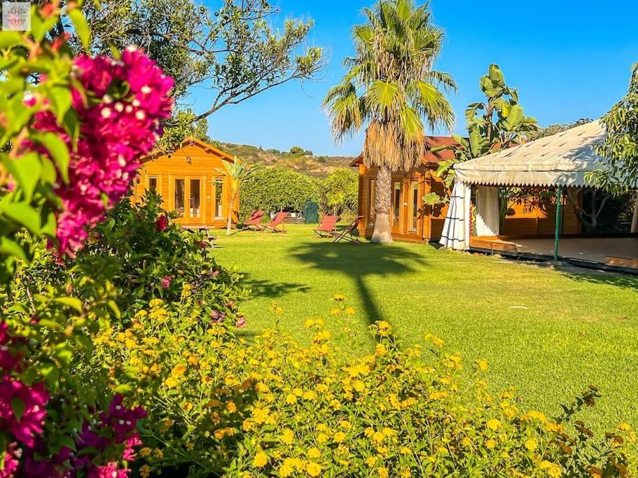 Finca Tierra Sana エステポナ エクステリア 写真