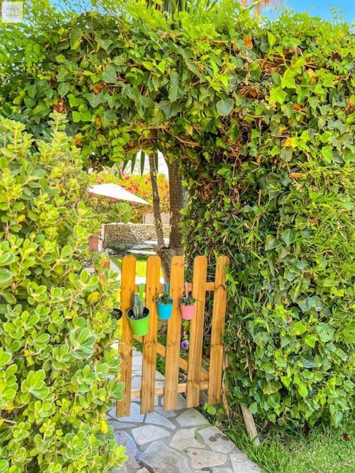 Finca Tierra Sana エステポナ エクステリア 写真
