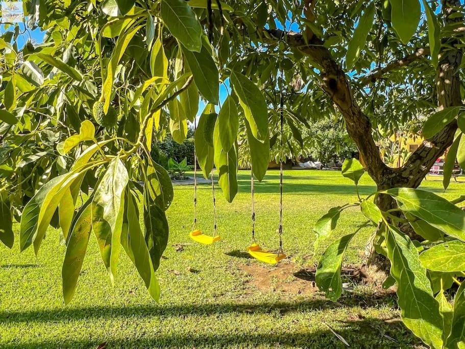 Finca Tierra Sana エステポナ エクステリア 写真