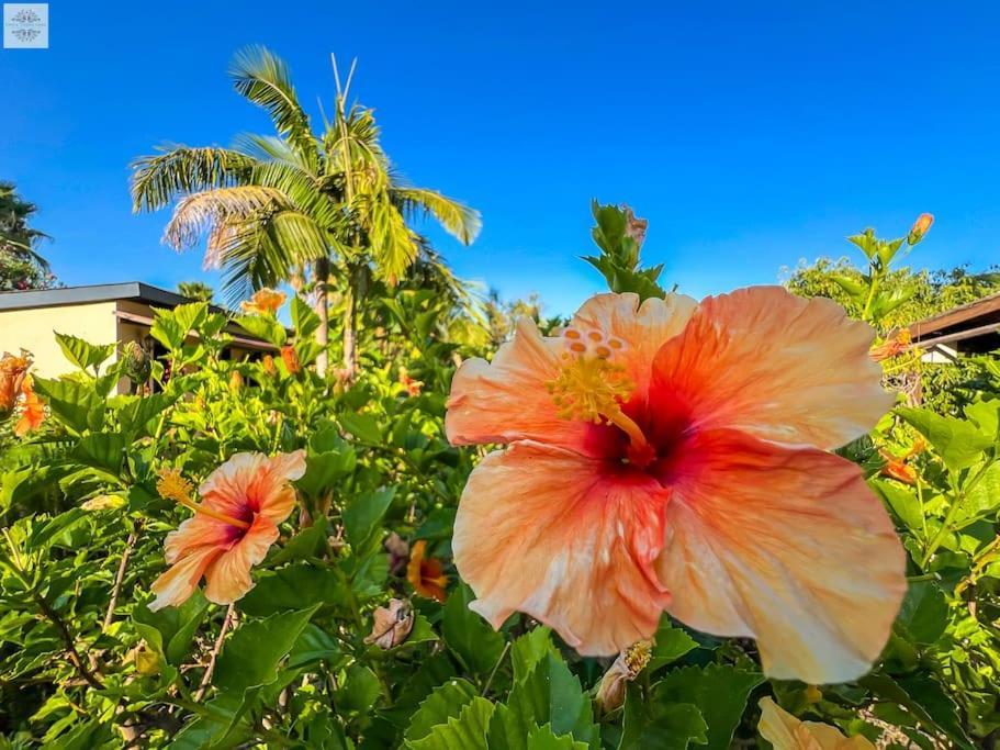 Finca Tierra Sana エステポナ エクステリア 写真